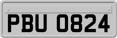 PBU0824