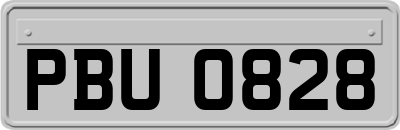 PBU0828