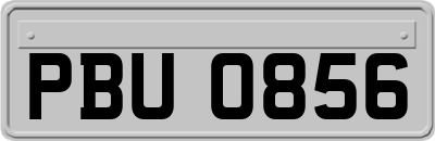 PBU0856