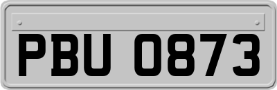 PBU0873