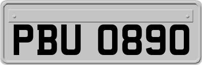 PBU0890