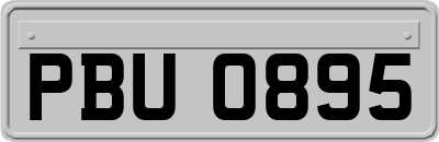 PBU0895