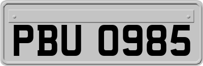 PBU0985