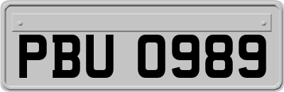 PBU0989