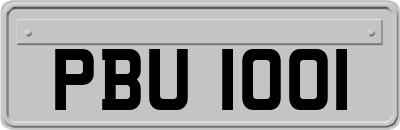 PBU1001