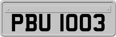 PBU1003