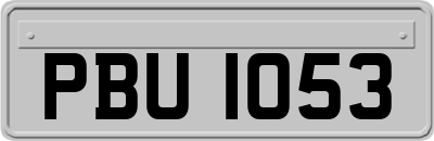 PBU1053