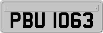 PBU1063