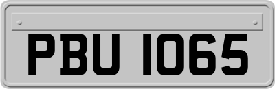 PBU1065