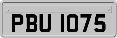 PBU1075