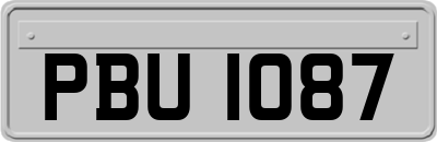 PBU1087