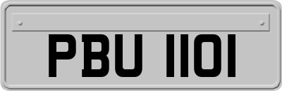 PBU1101