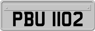 PBU1102