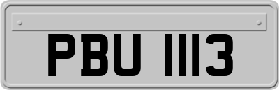 PBU1113