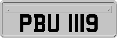 PBU1119