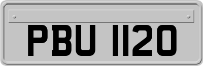 PBU1120