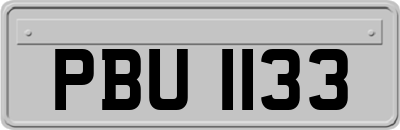 PBU1133