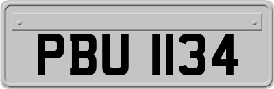 PBU1134