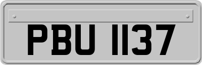 PBU1137