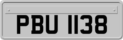 PBU1138