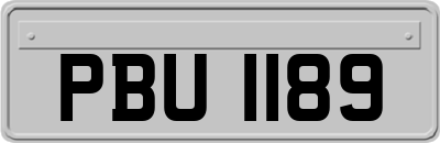 PBU1189