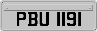 PBU1191