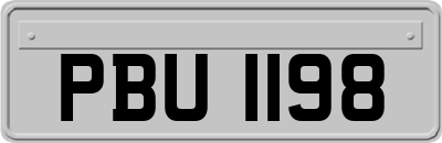 PBU1198