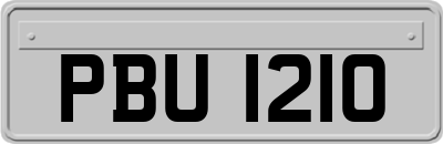 PBU1210