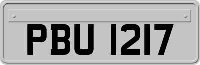 PBU1217