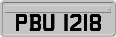 PBU1218