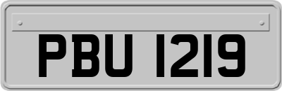 PBU1219