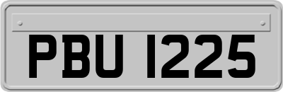 PBU1225