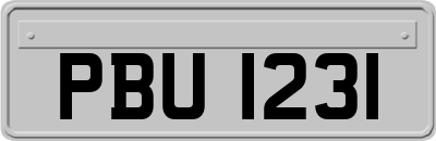 PBU1231