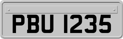 PBU1235