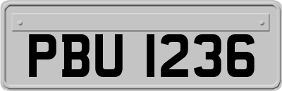 PBU1236