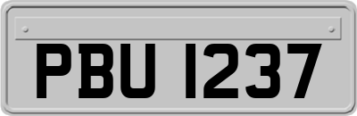 PBU1237