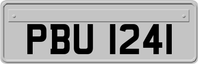 PBU1241