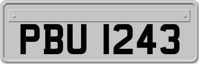 PBU1243