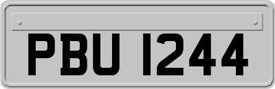 PBU1244