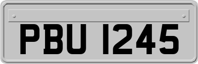 PBU1245