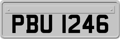 PBU1246