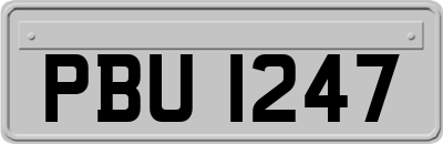 PBU1247