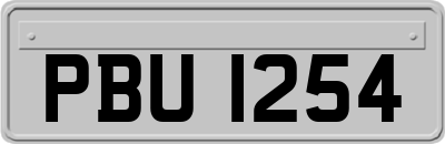 PBU1254