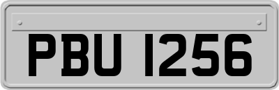 PBU1256