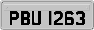 PBU1263