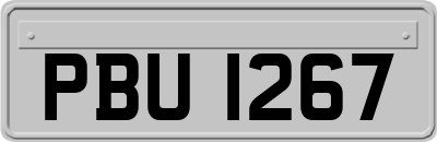 PBU1267