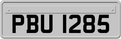 PBU1285