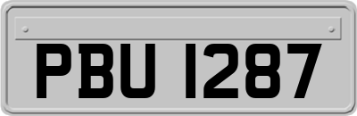 PBU1287