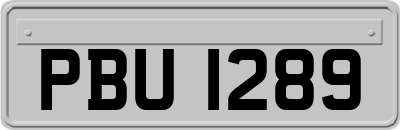 PBU1289