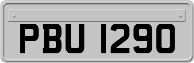 PBU1290